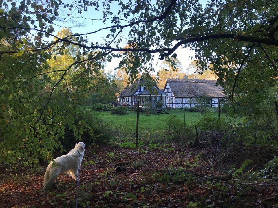 The Foresters House- Idyllic Tranquility- Non Smokers Only Store Heddinge Exterior photo