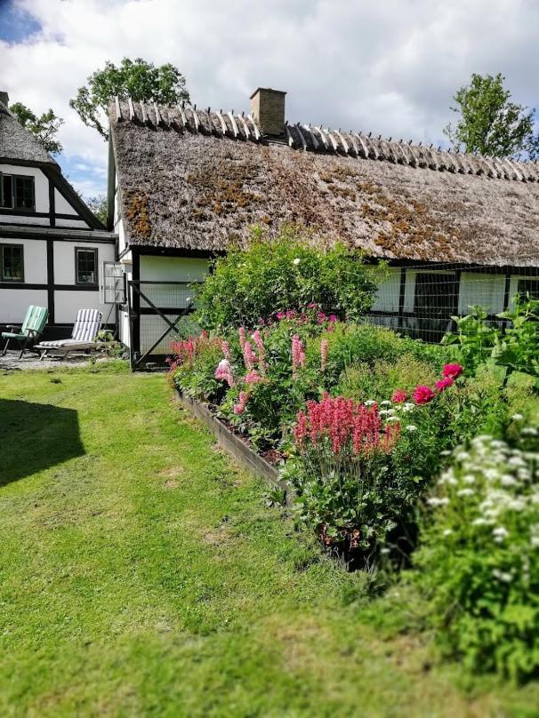 The Foresters House- Idyllic Tranquility- Non Smokers Only Store Heddinge Exterior photo